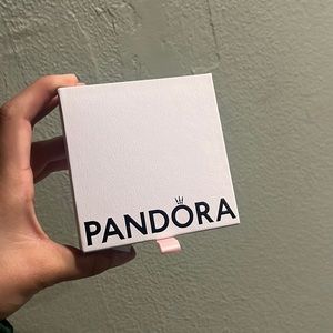 Pandora bracelet box. Just the box!!